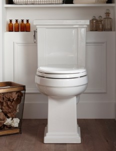 tresham-comfort-height-toilet-more-inspiration
